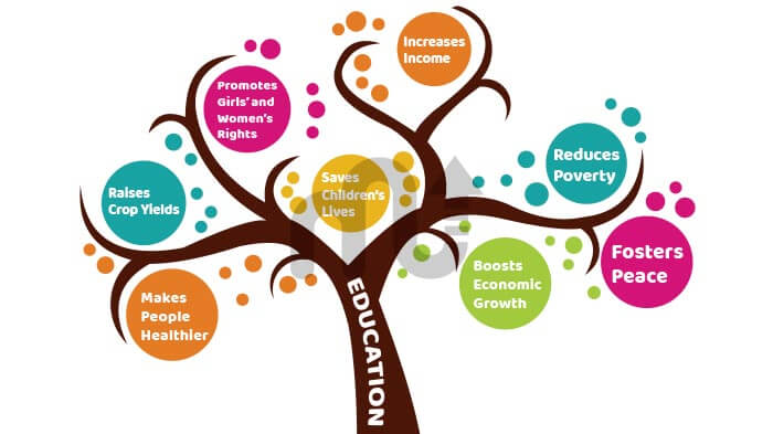 the-importance-of-education